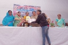 img4