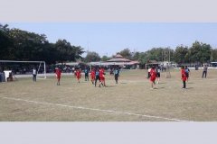 IMG1