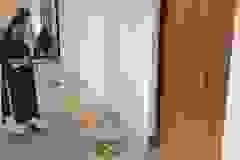 484913872_619236974252222_532248622213224189_n 484913872_619236974252222_532248622213224189_n